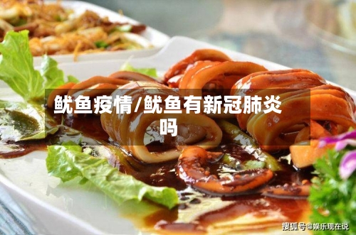 鱿鱼疫情/鱿鱼有新冠肺炎吗