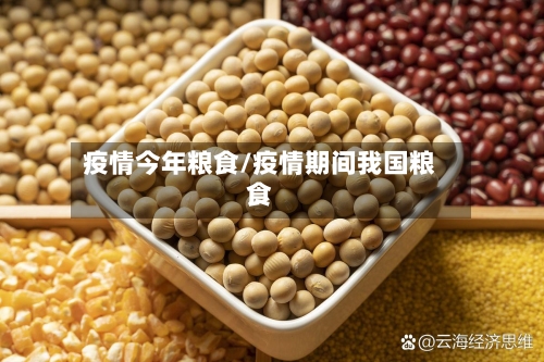 疫情今年粮食/疫情期间我国粮食-第2张图片