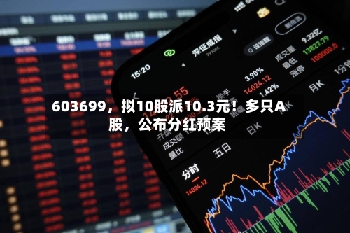 603699	，拟10股派10.3元！多只A股，公布分红预案-第3张图片