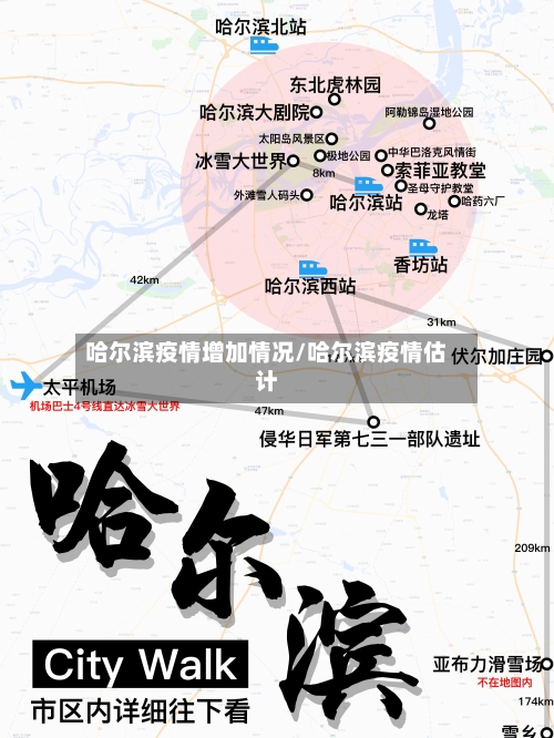 哈尔滨疫情增加情况/哈尔滨疫情估计-第3张图片