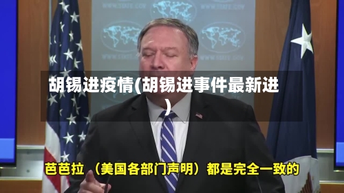 胡锡进疫情(胡锡进事件最新进)-第3张图片