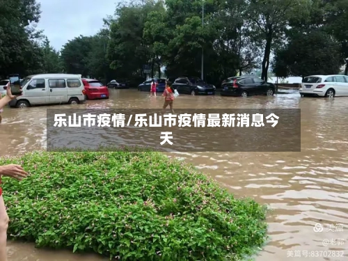 乐山市疫情/乐山市疫情最新消息今天