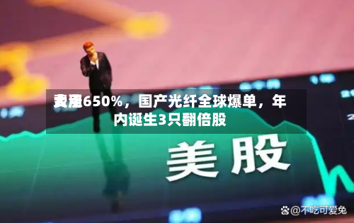 费用大涨650%，国产光纤全球爆单	，年内诞生3只翻倍股-第2张图片