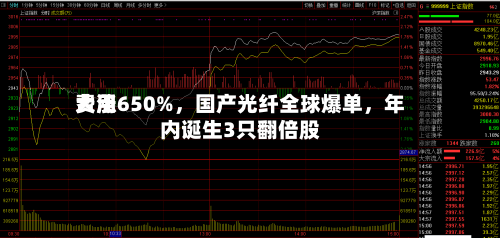费用大涨650%，国产光纤全球爆单	，年内诞生3只翻倍股-第2张图片