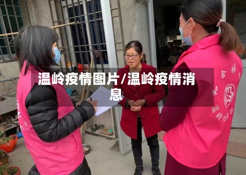 温岭疫情图片/温岭疫情消息-第2张图片