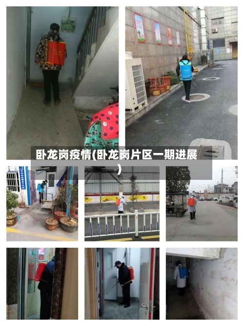 卧龙岗疫情(卧龙岗片区一期进展)