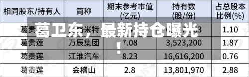 葛卫东，最新持仓曝光！-第2张图片