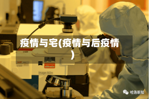 疫情与宅(疫情与后疫情)