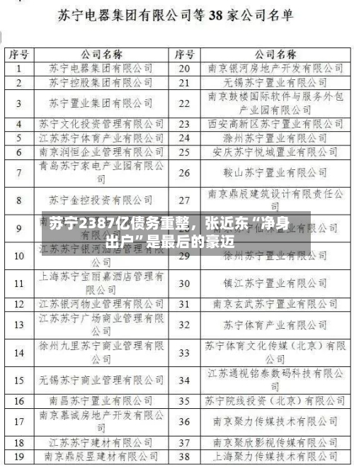 苏宁2387亿债务重整，张近东“净身出户”是最后的豪迈-第2张图片