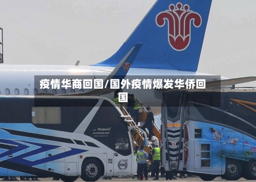 疫情华商回国/国外疫情爆发华侨回国-第2张图片