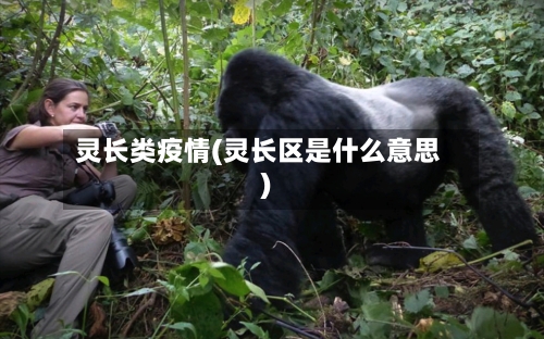 灵长类疫情(灵长区是什么意思)