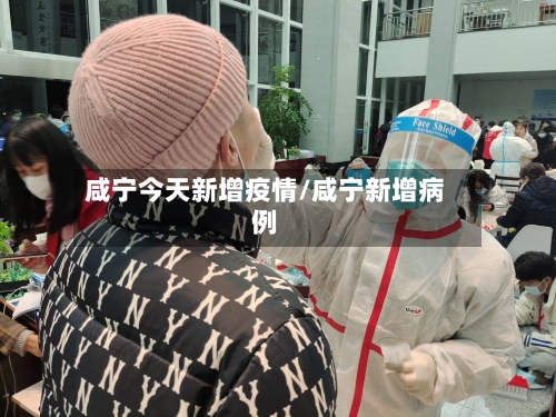 咸宁今天新增疫情/咸宁新增病例-第2张图片