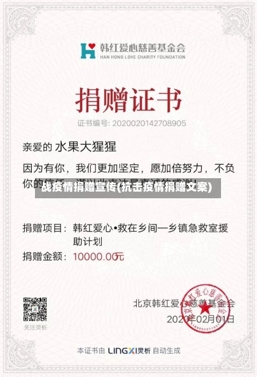 战疫情捐赠宣传(抗击疫情捐赠文案)-第3张图片
