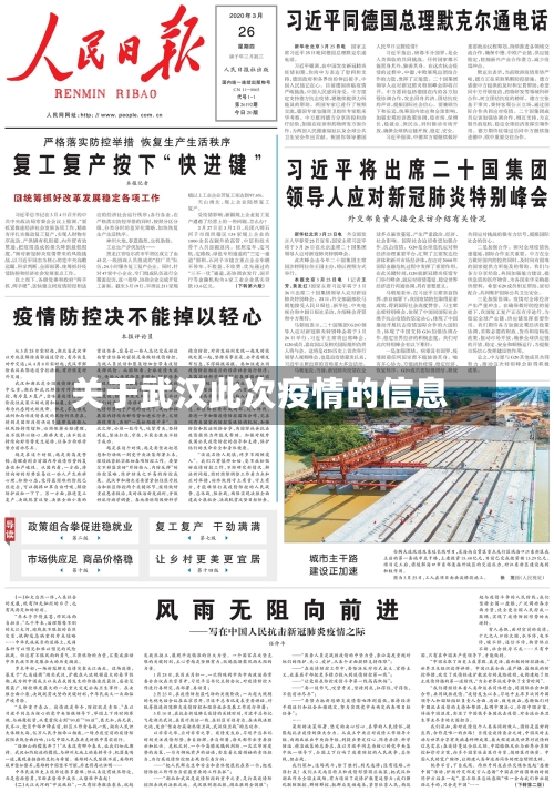 关于武汉此次疫情的信息-第3张图片