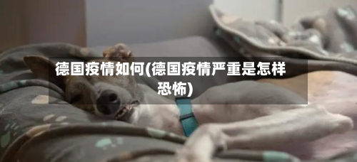 德国疫情如何(德国疫情严重是怎样恐怖)