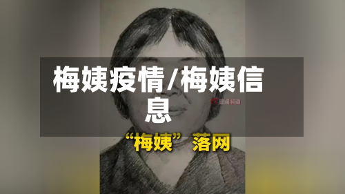 梅姨疫情/梅姨信息