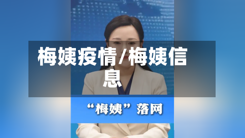 梅姨疫情/梅姨信息-第2张图片