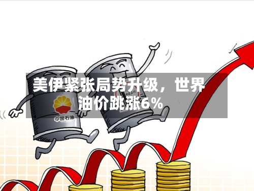 美伊紧张局势升级，世界油价跳涨6%