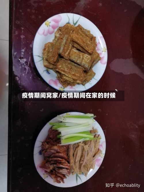 疫情期间窝家/疫情期间在家的时候-第2张图片