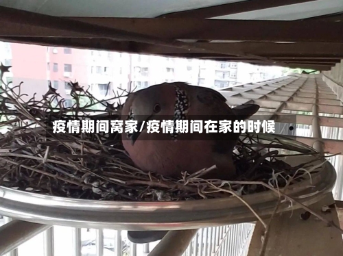 疫情期间窝家/疫情期间在家的时候