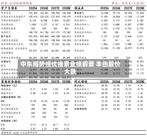 中东局势担忧拖累业绩前景 丰田股价大跌