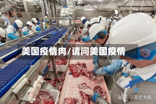 美国疫情肉/请问美国疫情-第2张图片
