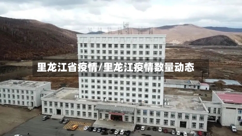 里龙江省疫情/里龙江疫情数量动态