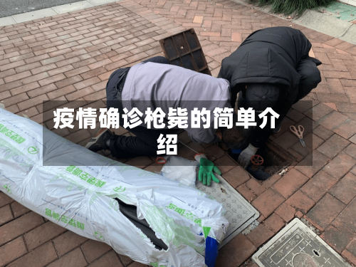 疫情确诊枪毙的简单介绍