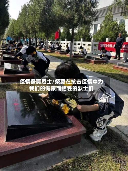 疫情祭奠烈士/祭奠在抗击疫情中为我们的健康而牺牲的烈士们