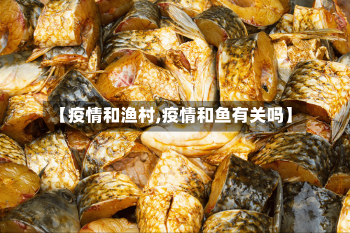 【疫情和渔村,疫情和鱼有关吗】