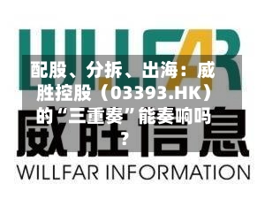 配股、分拆、出海：威胜控股（03393.HK）的“三重奏”能奏响吗？