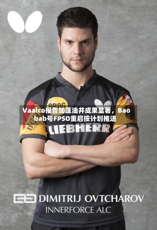 Vaalco报告加蓬油井成果显著，Baobab号FPSO重启按计划推进-第2张图片