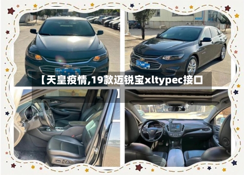 【天皇疫情,19款迈锐宝xltypec接口】-第3张图片