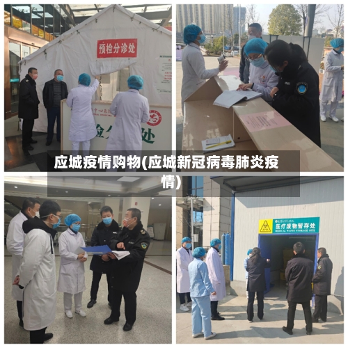 应城疫情购物(应城新冠病毒肺炎疫情)