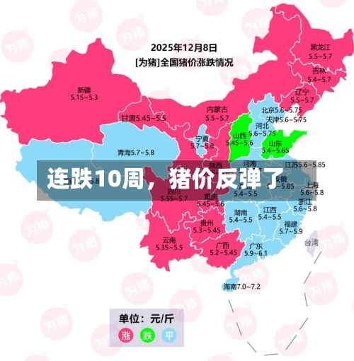 连跌10周，猪价反弹了