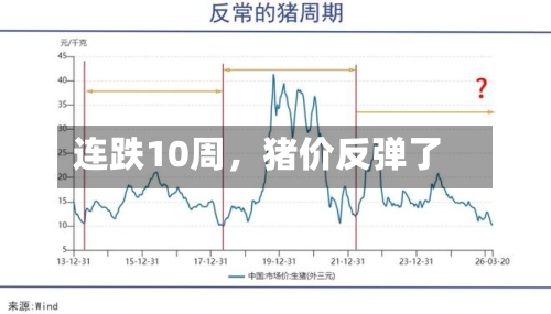 连跌10周，猪价反弹了-第2张图片