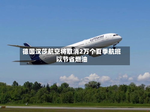 德国汉莎航空将取消2万个夏季航班以节省燃油-第3张图片