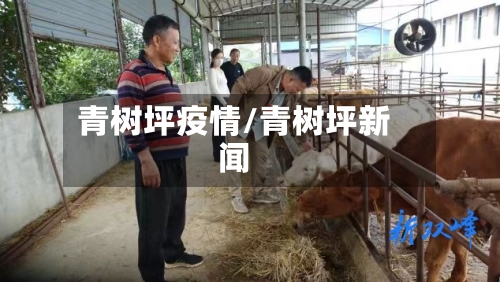 青树坪疫情/青树坪新闻