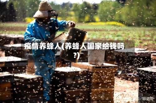 疫情养蜂人(养蜂人国家给钱吗?)-第2张图片