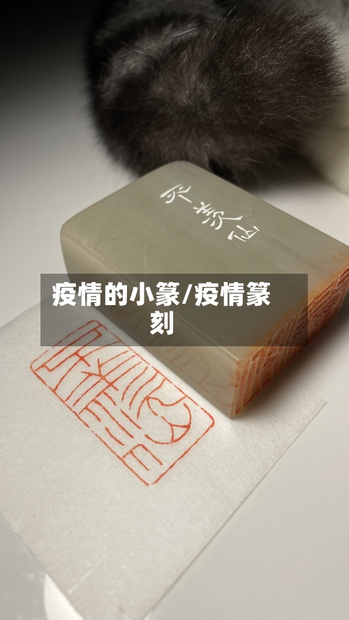 疫情的小篆/疫情篆刻-第3张图片