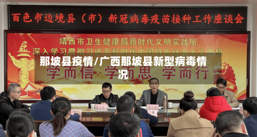 那坡县疫情/广西那坡县新型病毒情况-第2张图片