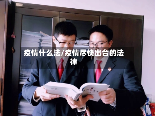 疫情什么法/疫情尽快出台的法律-第2张图片