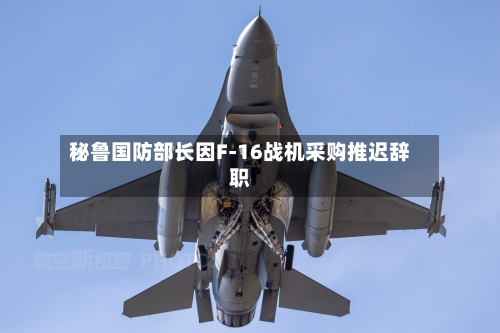 秘鲁国防部长因F-16战机采购推迟辞职-第3张图片