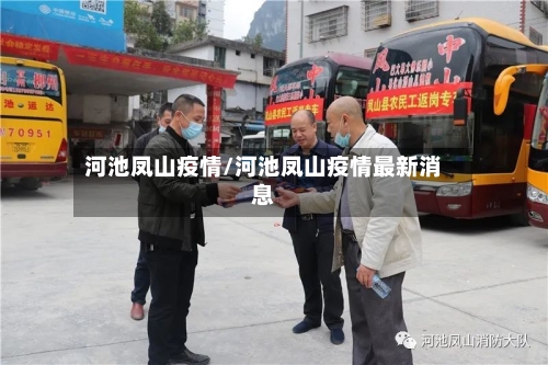河池凤山疫情/河池凤山疫情最新消息-第3张图片