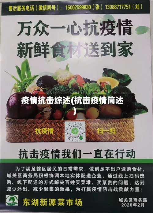 疫情抗击综述(抗击疫情简述)