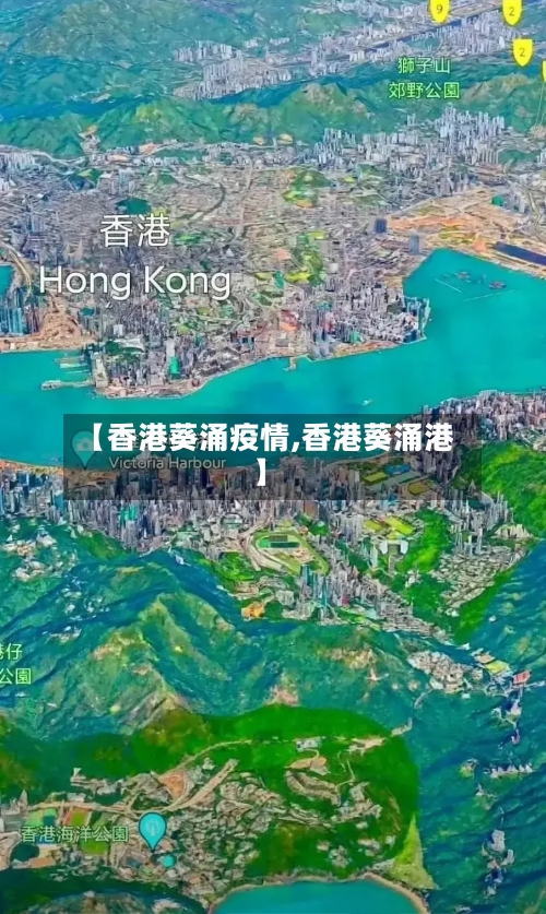 【香港葵涌疫情,香港葵涌港】-第2张图片