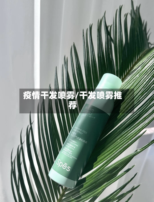 疫情干发喷雾/干发喷雾推荐-第2张图片