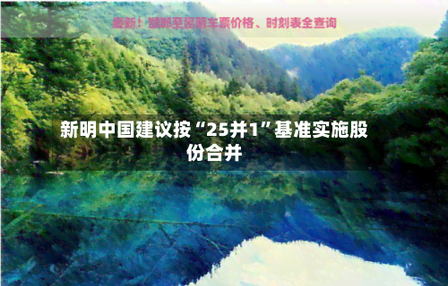 新明中国建议按“25并1	”基准实施股份合并-第3张图片