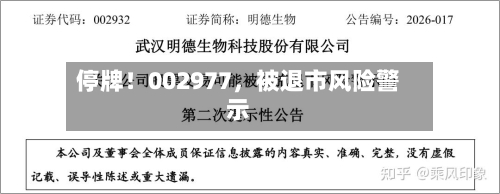 停牌！002977	，被退市风险警示-第2张图片