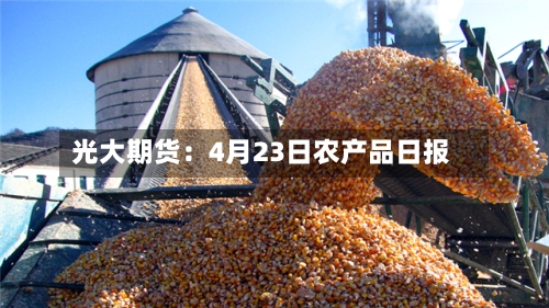 光大期货：4月23日农产品日报
